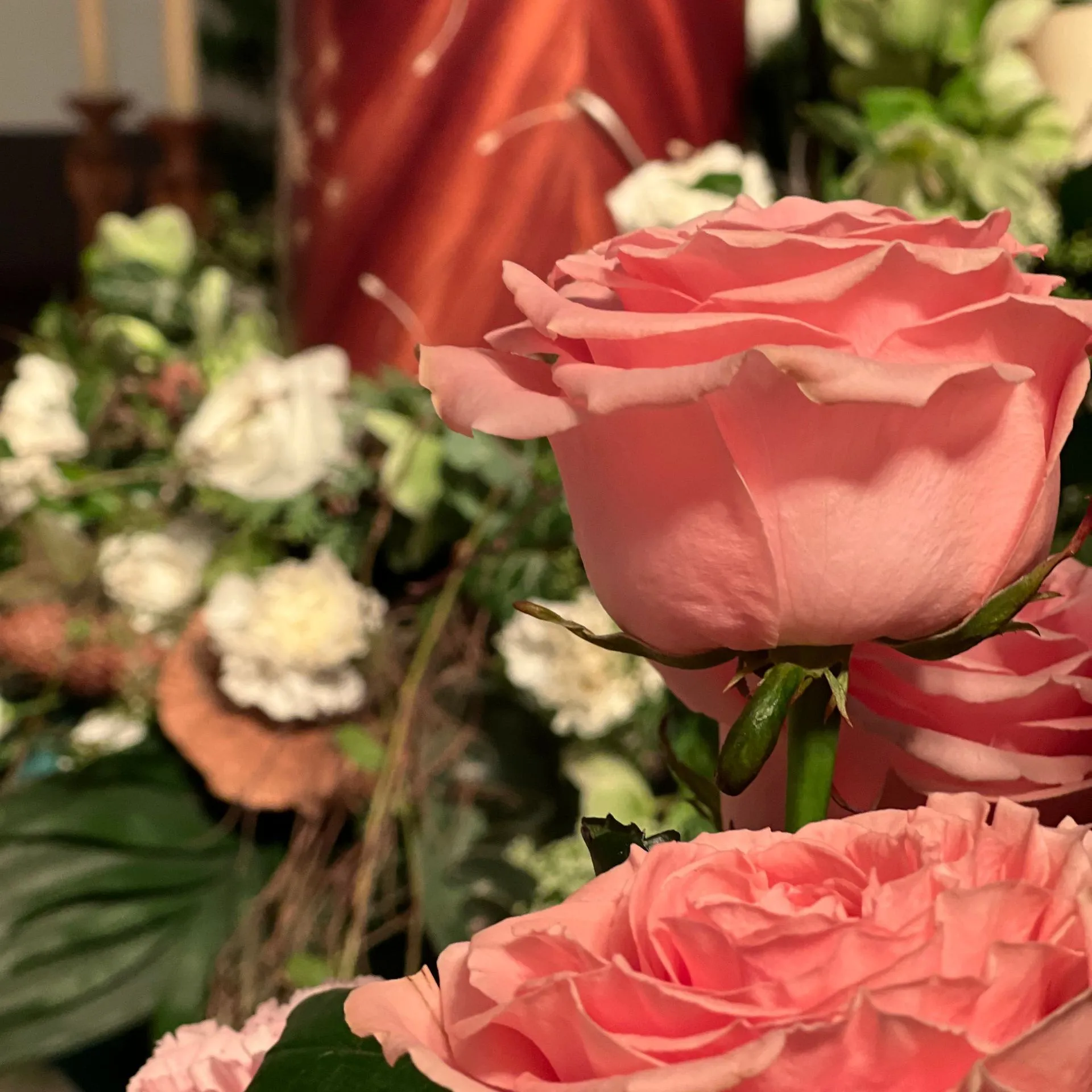 Beautiful rose in pink Funeral parlour LESCH Hannover