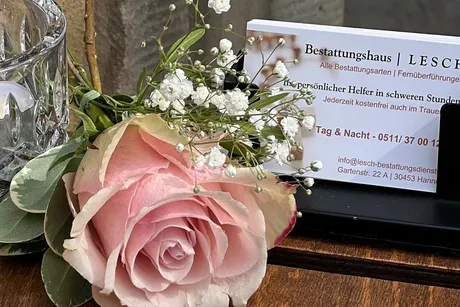 Pinkfarbige Rose mit weißen Blumen