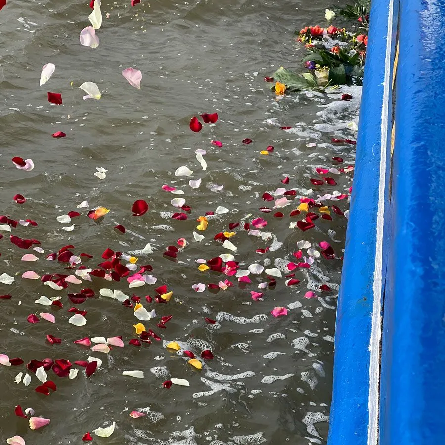 Meerbestattung Rosenblaetter schwimmen im Meer Bestattungshaus LESCH Hannover